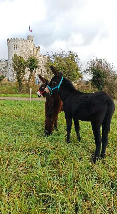 Les Anes Du Chateau D Hardelot, Pour 2 A 5 Pers Condette Экстерьер фото