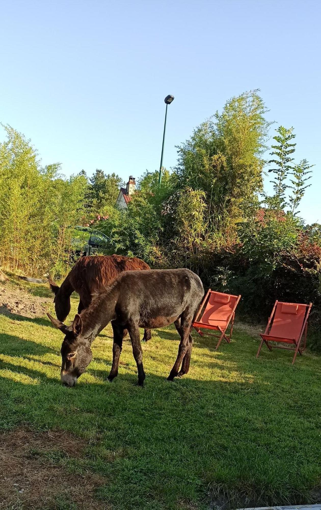 Les Anes Du Chateau D Hardelot, Pour 2 A 5 Pers Condette Экстерьер фото