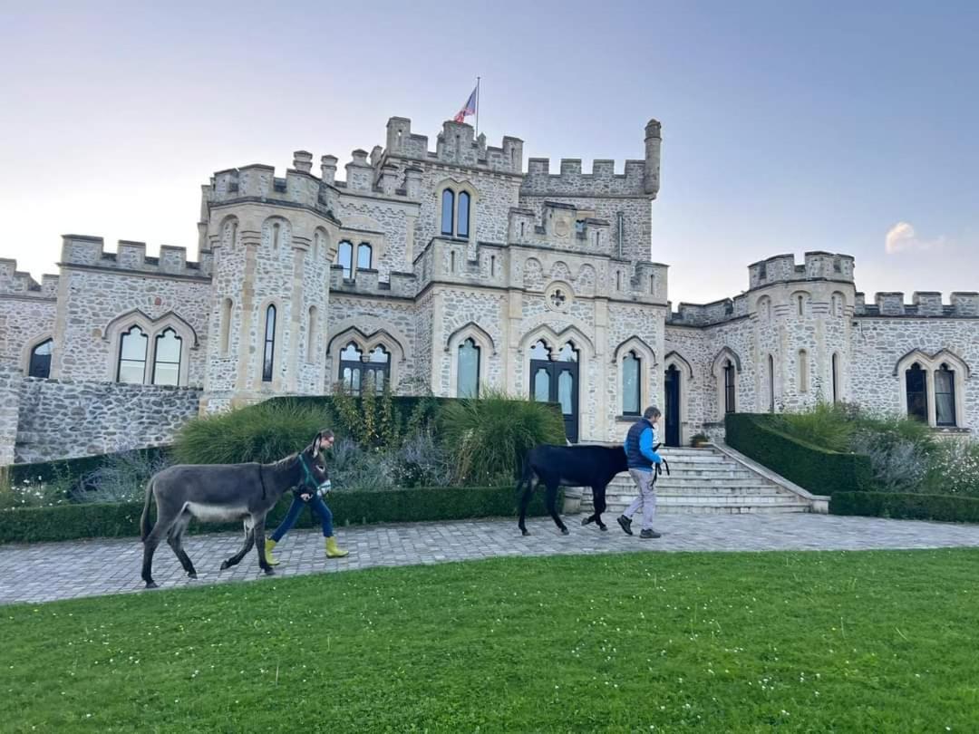 Les Anes Du Chateau D Hardelot, Pour 2 A 5 Pers Condette Экстерьер фото